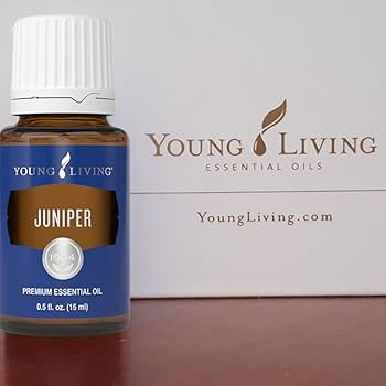Amazon.com: Young Living Juniper Essential Oil | 15 ml | Supports